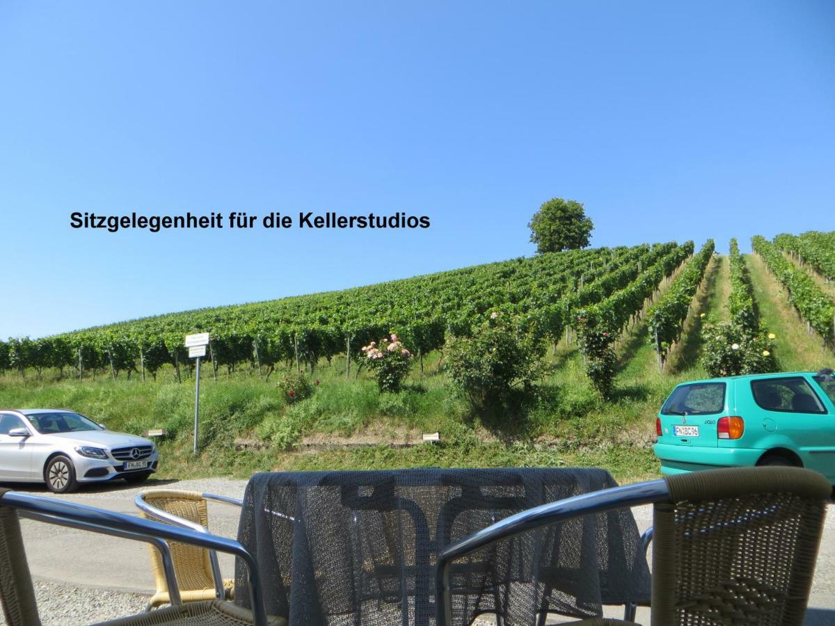 Gaestehaus Sommertal Mit Pool Im Garten, Eigener Parkplatz, 800M Zum Bodensee, 300M Zur Altstadt Meersburg Ngoại thất bức ảnh
